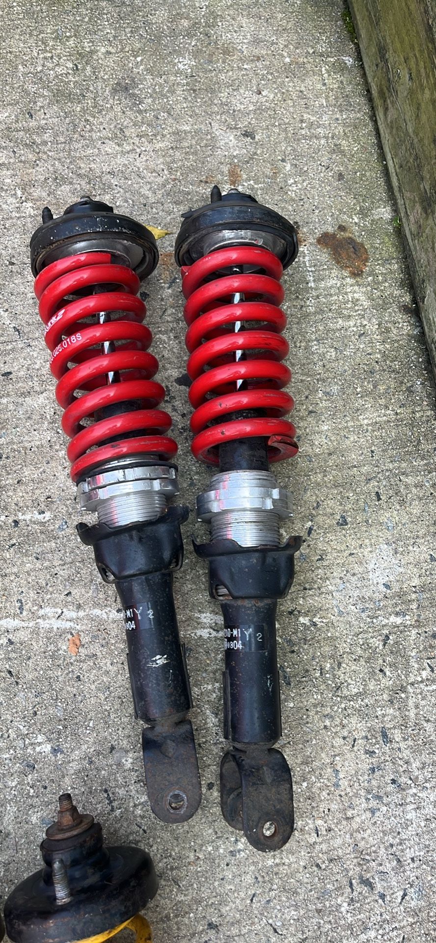 Skunk 2 Coilovers