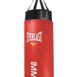 Everlast MMA 100-lb Heavy Bag w/ Spacemiser Adjustable Wall Mount