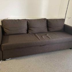 Sofa with Pull-Out Bed