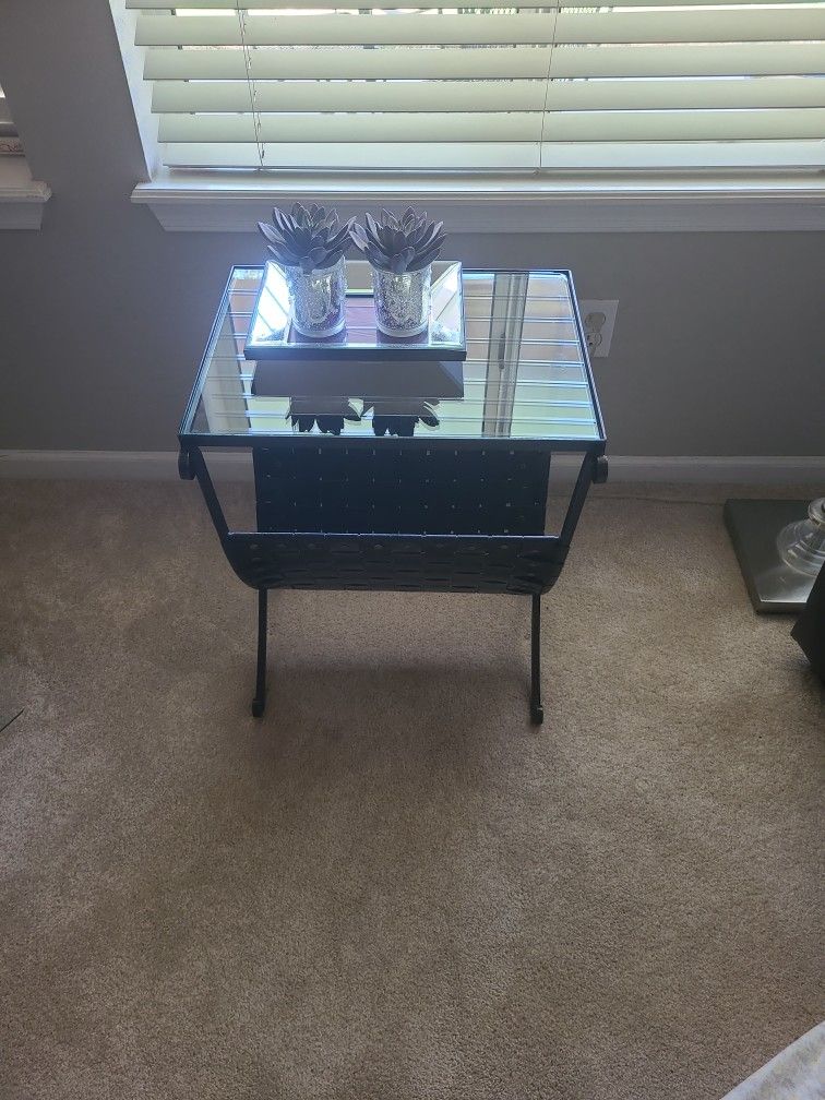Accent Magazine Table With Mirror Tray and 2 Succulents