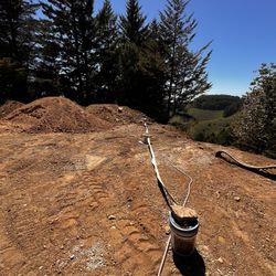 Free clean dirt free delivery