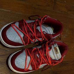 Off white dunks size 11