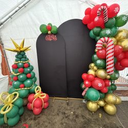 Balloon Garland Backdrop