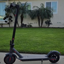 electric scooter 