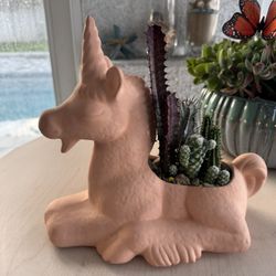 Unicorn Plant Arrangement