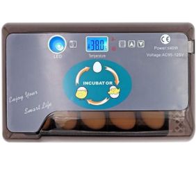 Incubators Model 12 Egg Incubator