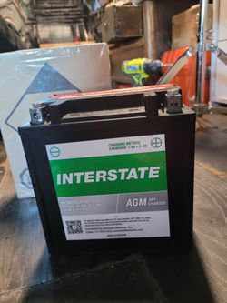 Interstate AMG battery