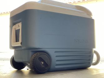 40 QT IGLOO COOLER !