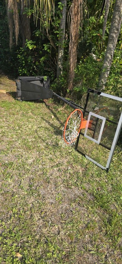Basket ball hoop