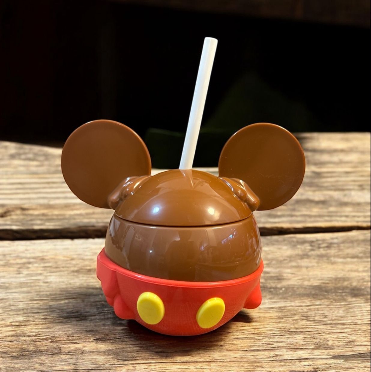 Disney Parks Mickey Mouse Carmel Apple Sipper Tumbler w/Straw New