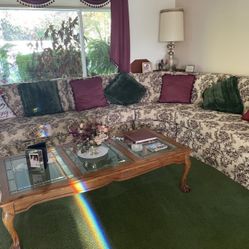 Floral Couch & Pillows 