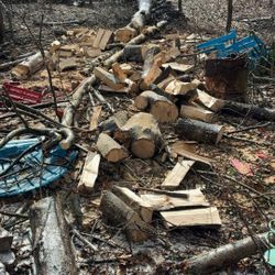 Fallen Tree Clean Up