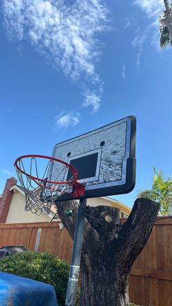 Free basketball stand