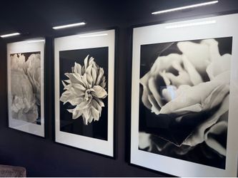 Set of 3 b&w Floral prints