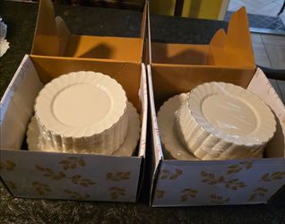 Brand new in box (2) plastic plates
