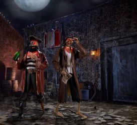 Home Accents Holiday 2-Piece Dead Water Animated LED Pirate Duo