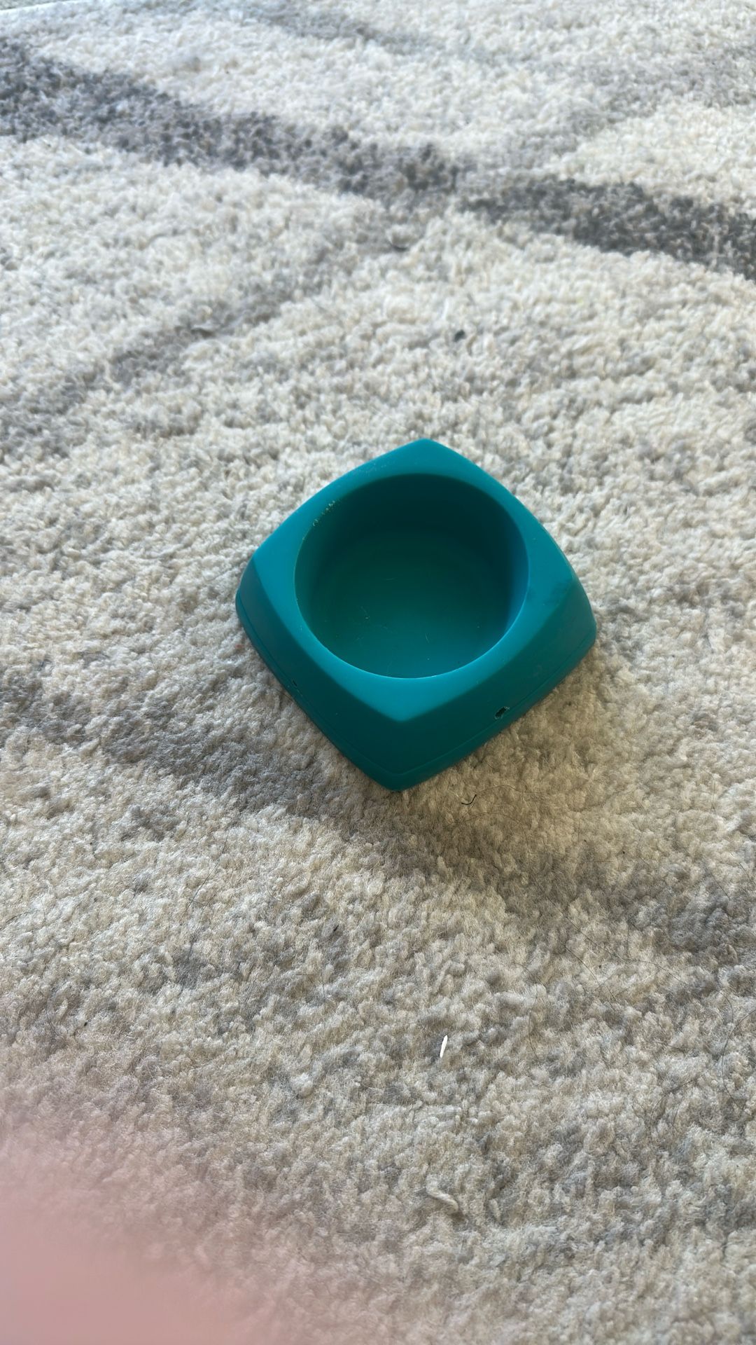 small blue animal feeding disk 