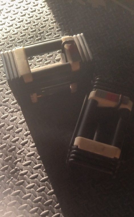Adjustable Dumbbells