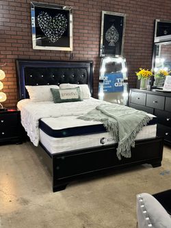 Queen Black Tufted Panel Bed Frame with LED Headboard