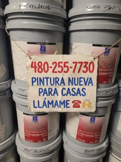 Paint