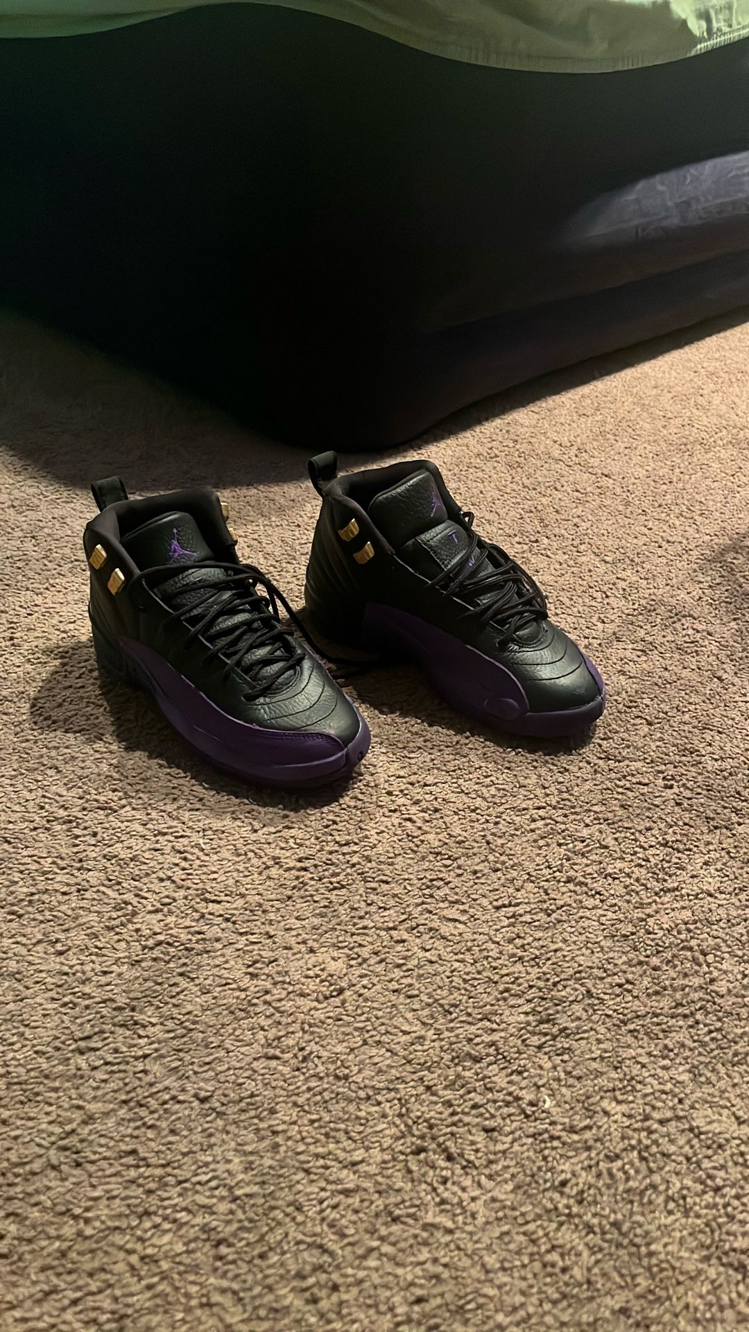 Jordan 12 Black And Purple Size 3.5