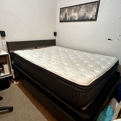 FREE Queen sized Mattress, box spring and bed frame