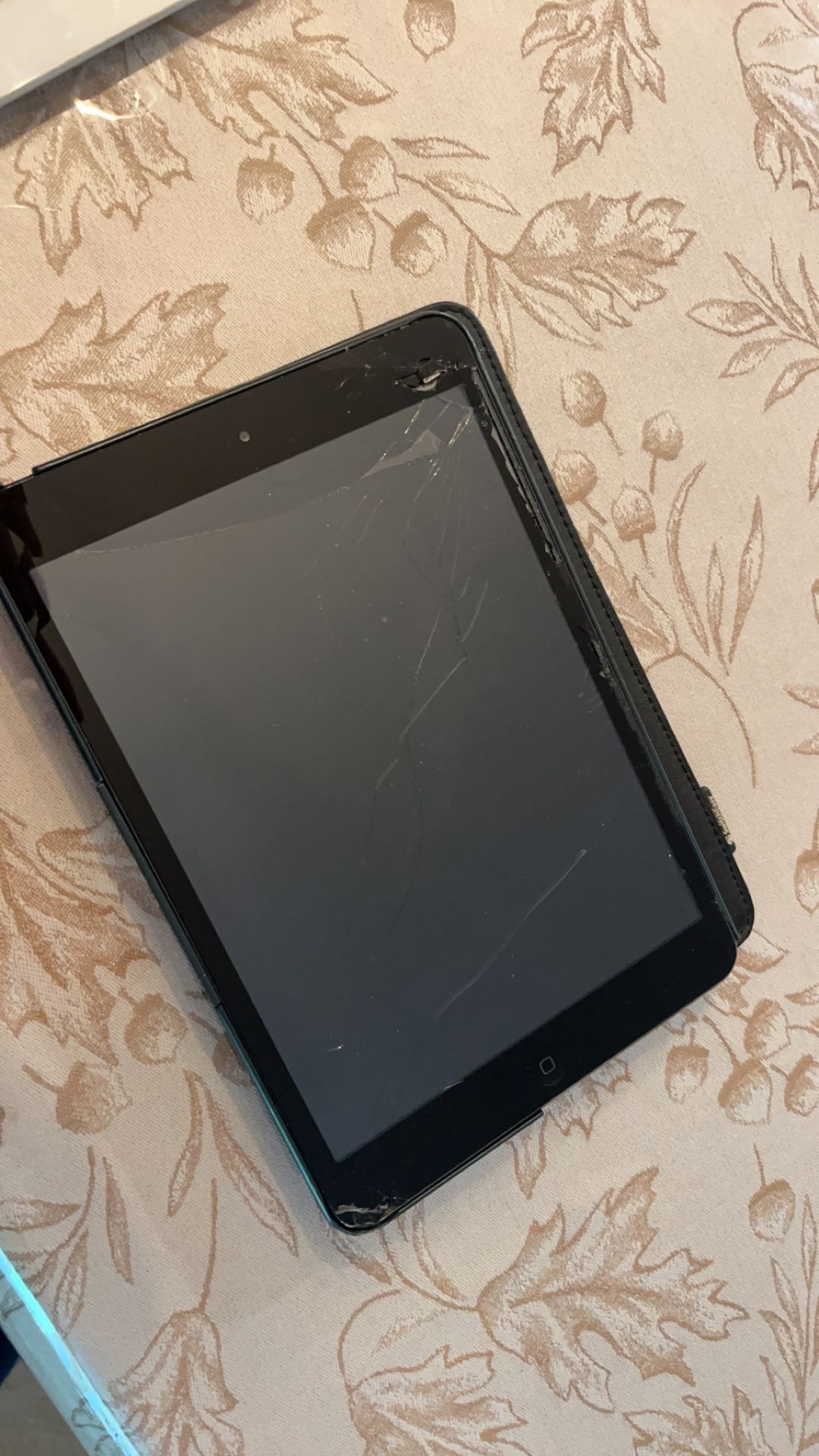 iPad Mini