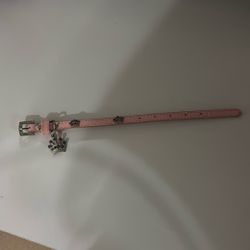 Brand new dog collar 
