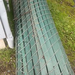 Fence Green
