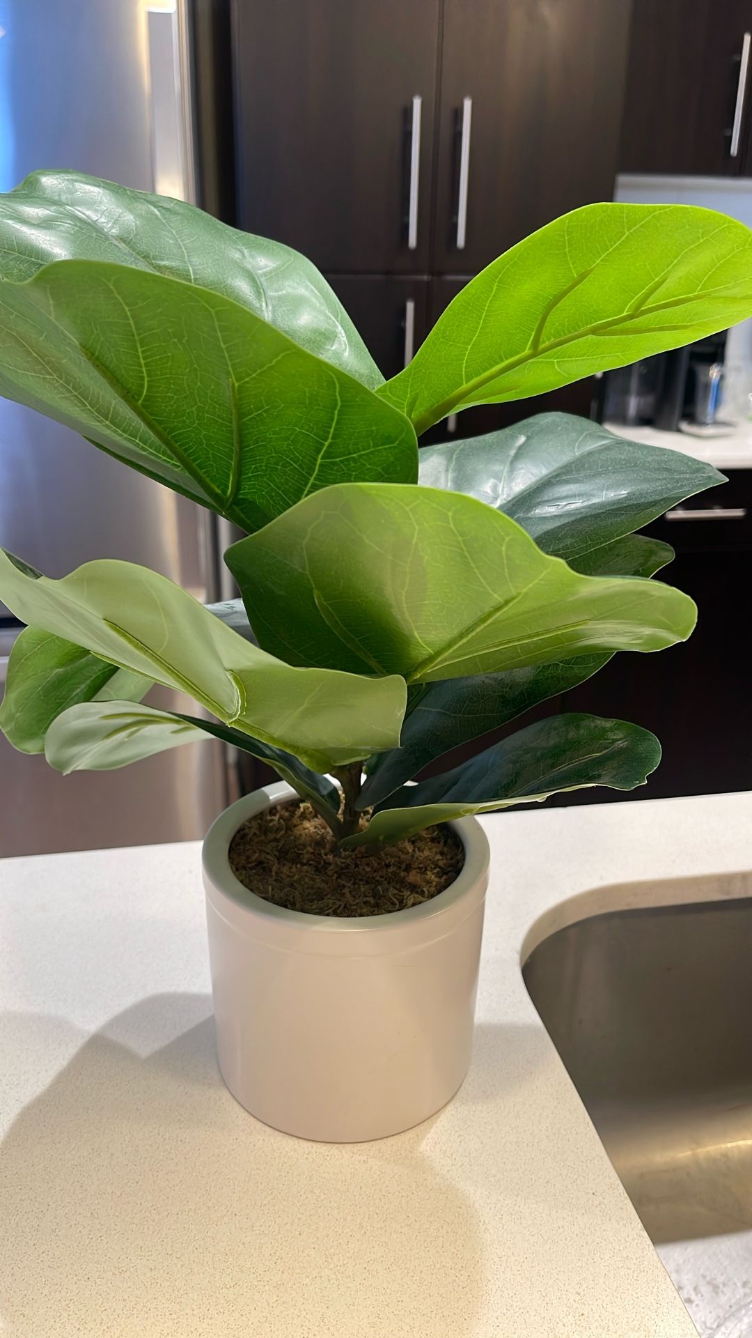 Fake Plant