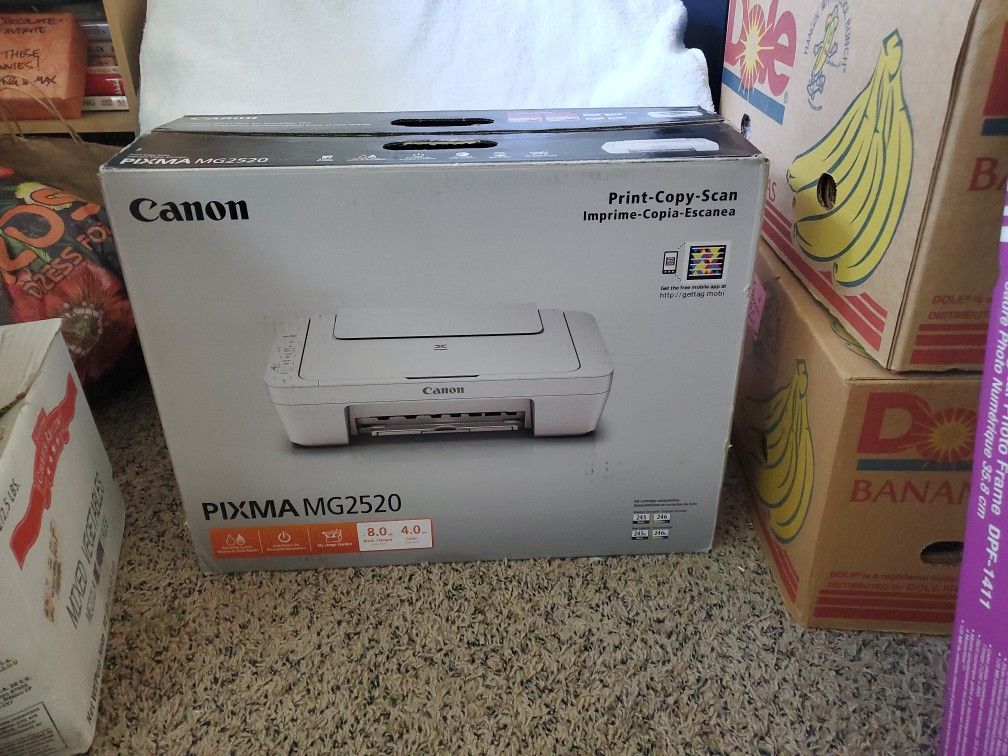 Canon PIXMA Mg2520 Printer