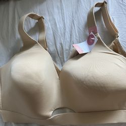 Cacique No Wire Bra