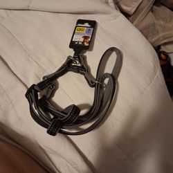 Dog Harness