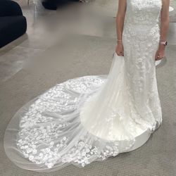 Wedding Dress (never worn)