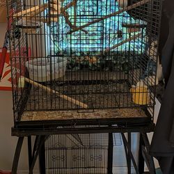 2 bird cages