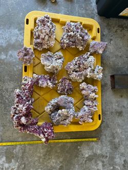 Carib sea live/dry rock.  Donut piece, a few bridge pieces , purple rock