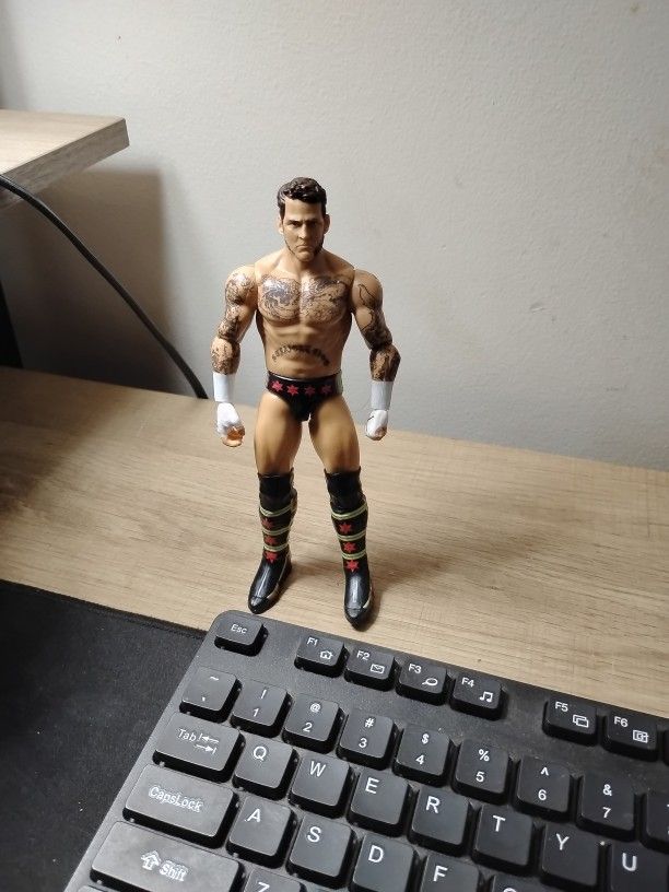 Wwe Action Fig Cm Punk