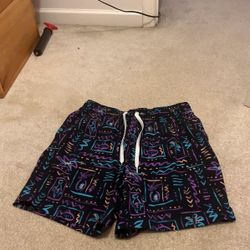 Men’s Chubbies Shorts