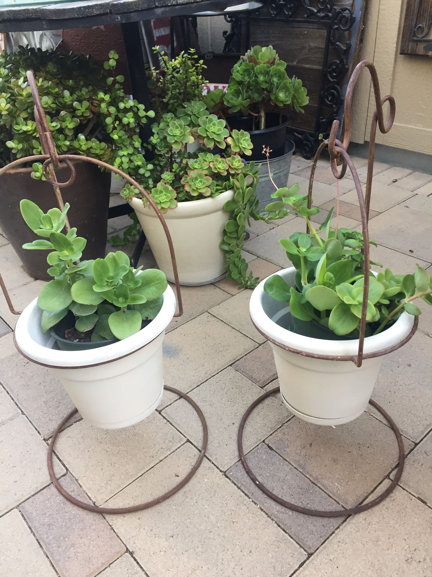 Iron plant holders with pots and Succulents