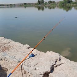 Catfish Fishing Pole 