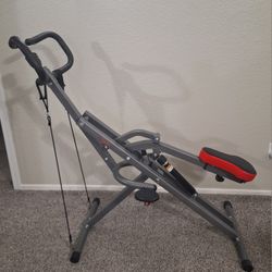 Sunny Heath & Fitness Row N Ride Pro