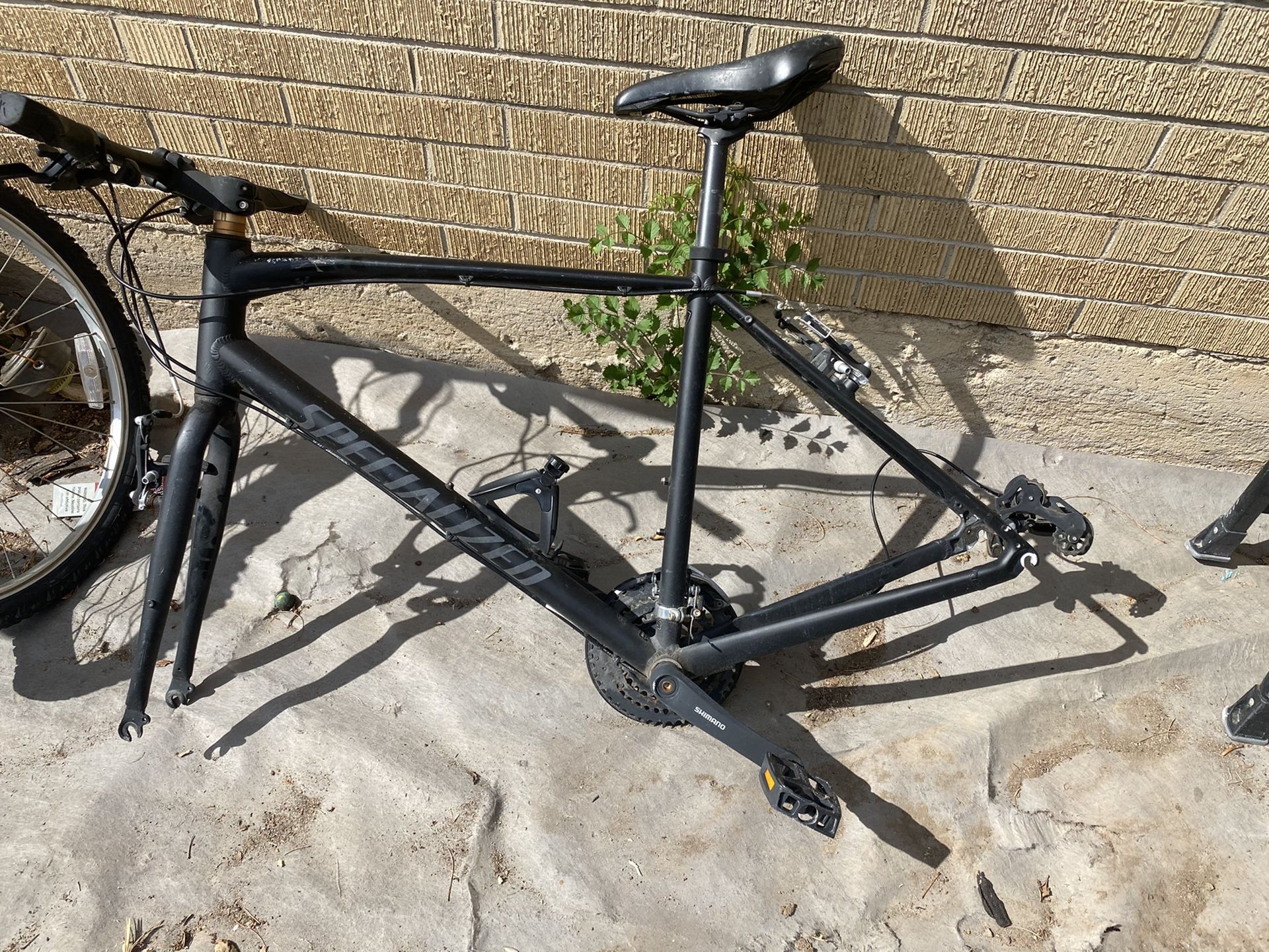 Specialized bike frame