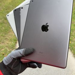 iPads 5 / 6 / 8 / Pro