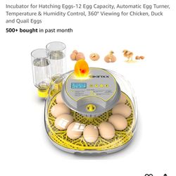 Egg Incubator