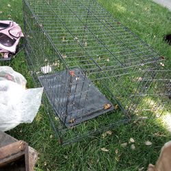 Dog Cages X-Small, Smll , Med, Large, Xlarge Used