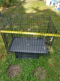 Dog Cage 