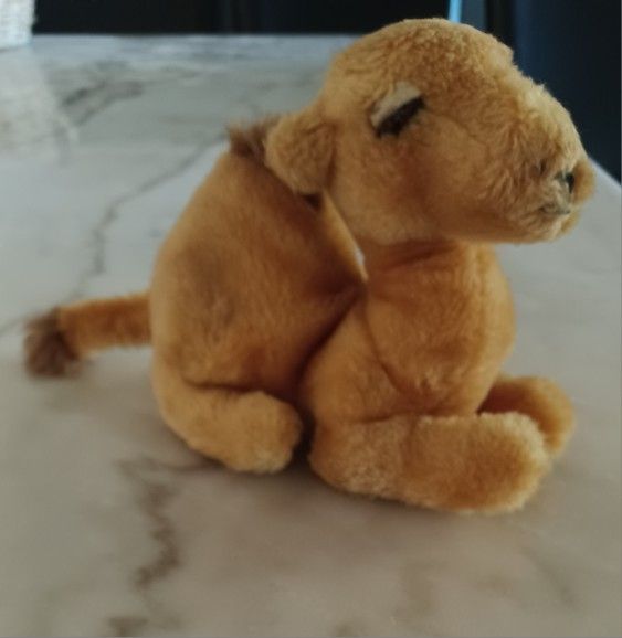 Vintage Camel Circa 1978