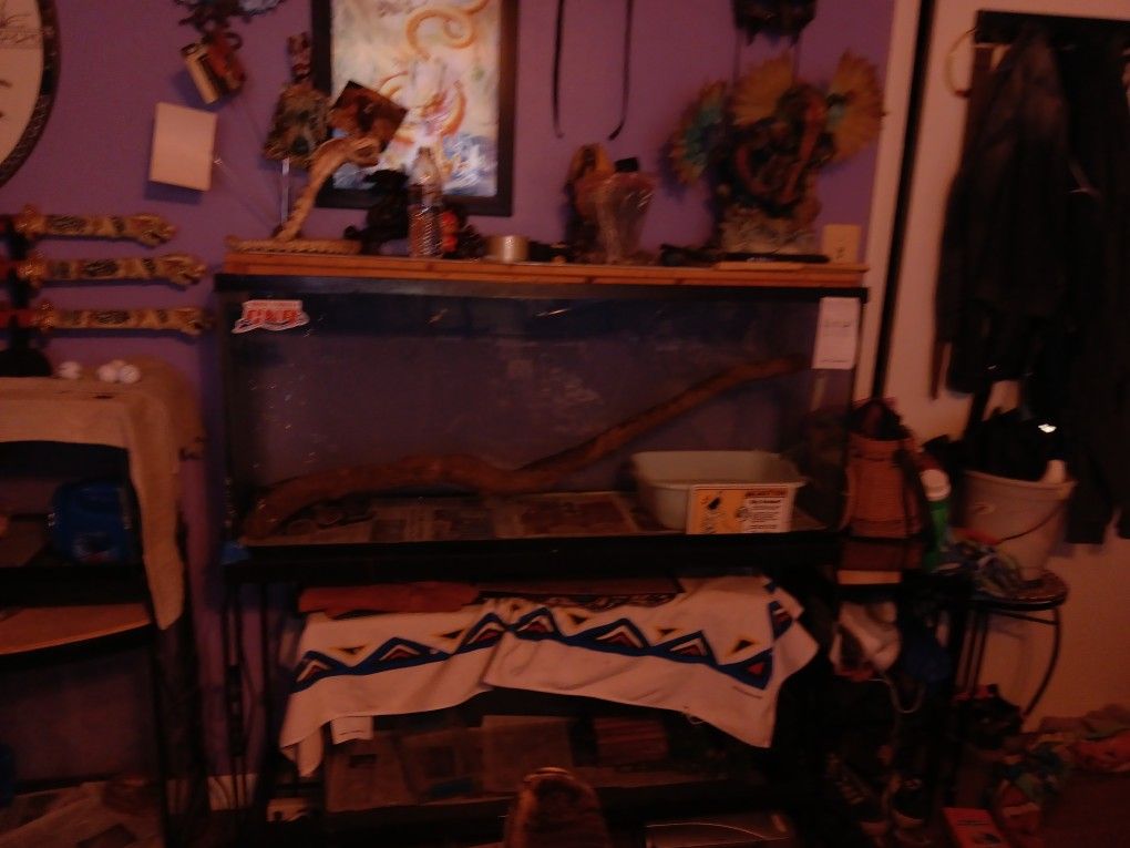 55 Gallon Tank With Stand