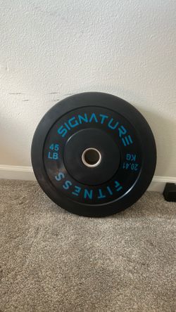 SINGLE 45 pound plate.