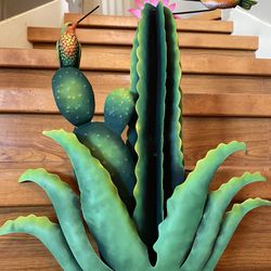 Beautiful Cactus